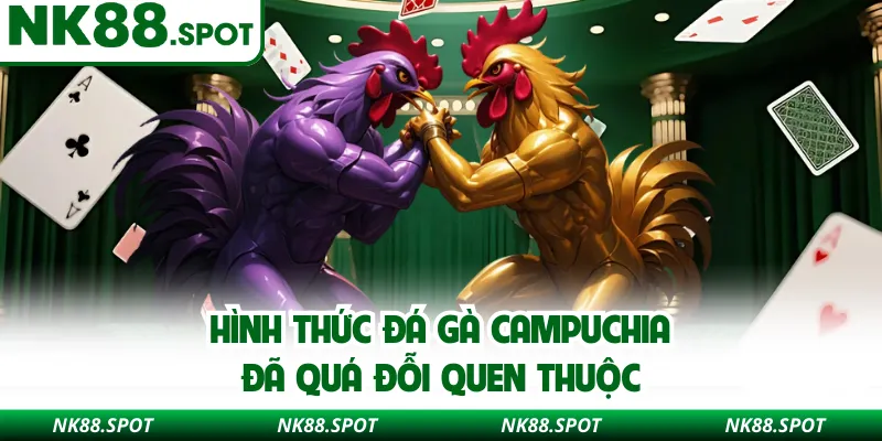 Hình thức đá gà Campuchia đã quá đỗi quen thuộc