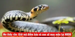 Mơ thấy rắn: Giải mã điềm báo và con số may mắn tại NK88